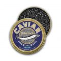 caviar beluga huso huso