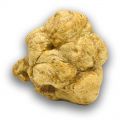 fresh_white_winter_truffles