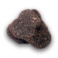 fresh_black_winter_truffles