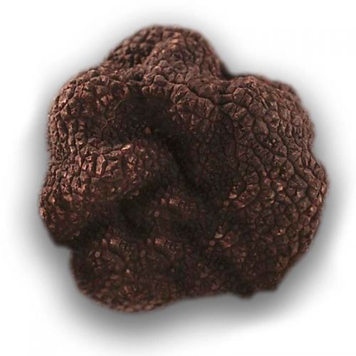 fresh_black_autumn_truffles
