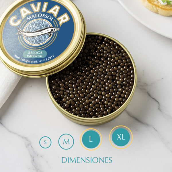 Caviar Beluga Imperial - Imagen 6