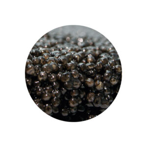 Caviar Uraqi
