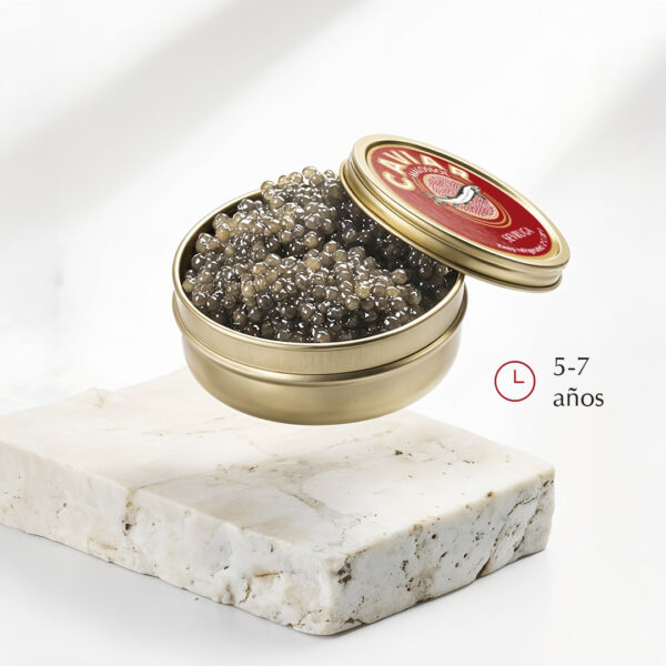 Caviar Sevruga - Imagen 3