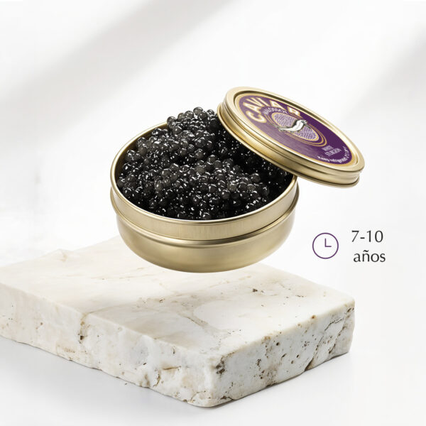 Caviar White Sturgeon - Imagen 3