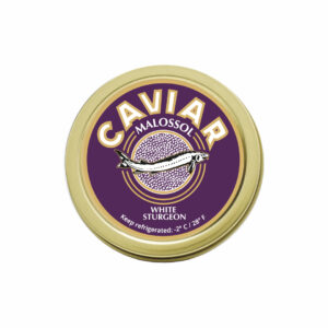 Caviar White Sturgeon